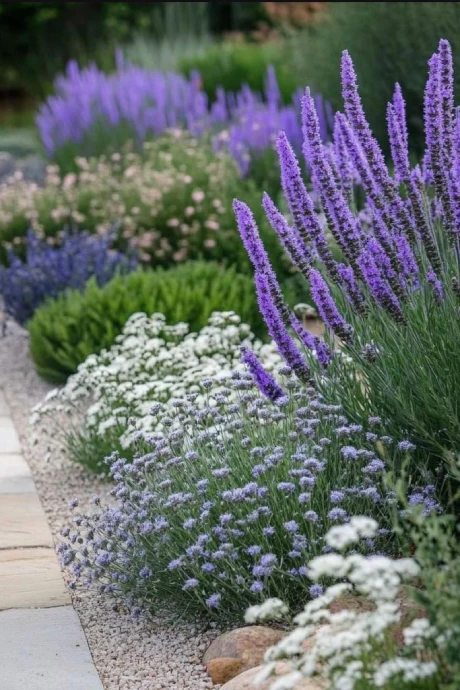 paisajismo-sustentable